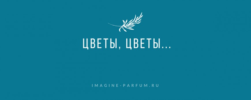 Цветы, цветы...