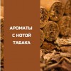 Ароматы с нотой табака